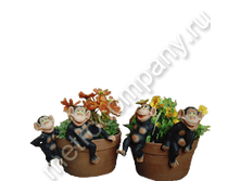 88���. NF29538  ������� �� ����� �������� (���������)9,6�15,6��.png