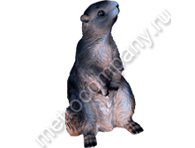 480���. 12607  ����� (���������)36�28��.png