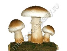 540���. 12499  ������� �� ������ (���������) 29�30��.png