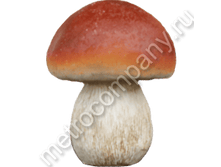 184���. 12527  ������� ������� ��������� (���������)13�11��.png