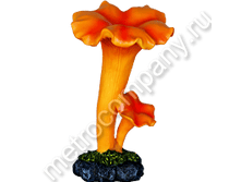 252���. 12569  ���� ��� ������� (���������)27�16��.png