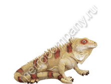 260���. 12534  ������� ��������� (���������)12�26��.png