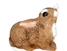 336���. 12450  ���� �������� ��������� ����� (���������)22�27��.png