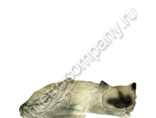 320���. 12480  ����� ������ �������� (���������)12�36��.png