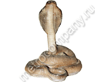 200���. 12636  ����� (���������)12�26��.png