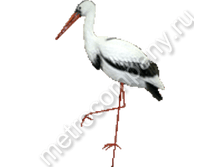 950���. 12484  ���� �� �������� ����� (���������)115�72��.png