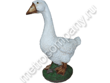 887���. 12088  ���� ������� (���������)65�55��.png