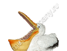 431���. 12191  ����� ������� ������� (���������)27�39��.png