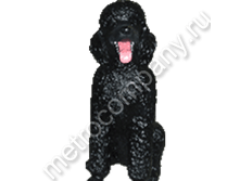 1218���. 12314  ������ (���������)65�40��.png