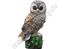 560���. NF12037-1  ��������� ���� �� ���20�33��.png