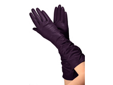 200r_fiol.  1600�.