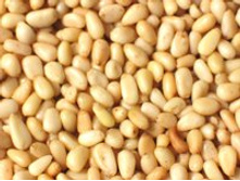 ���� ��������� �����