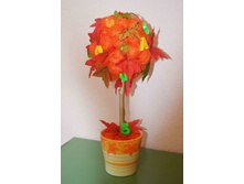 DSC_0402 (�����).jpg