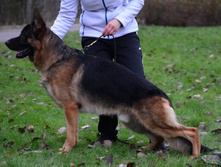 V Magnum vom Holtkamper See[1].jpg