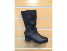 451  �/������ ������� ����  ����