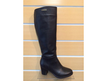 449 ���/��� ���� ����