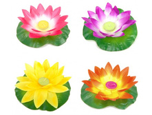 ������ ������� "�����"