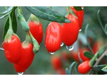 ����� �����. ���� 189 ���.