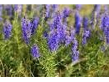 ����� ������������� �����.���� 37,8 ���