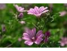 ������ ������ ������ � ������.���� 37,8 ���.