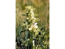 �������� ���������� ����.���� 75, 6 ���.