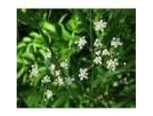 ���� ������������ �����. ��� 42 ���.