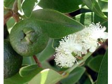 �������� ����.���� 25 ���.