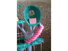 ����� ���������� ���� ��� ��������� ���