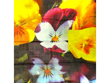 ������-�������� MS-77 (2).jpg