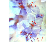 ������-�������� MS-74 (2).jpg