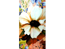 ��������-�������� SP-1 (2).jpg