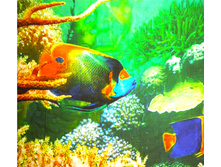 ������-�������� S-14 (2).jpg