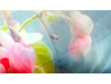 ������-�������� S-15 (2).jpg