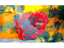 ������-�������� S-16 (2).jpg