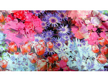 ������-�������� S-13 (2).jpg