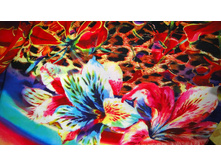 ������-�������� S-8 (2).jpg