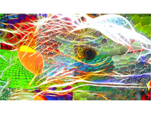 ������-�������� YS-1 (2).jpg