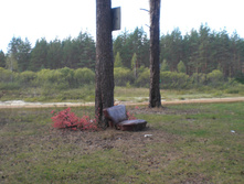CIMG7369.JPG