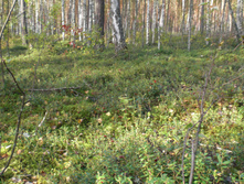 CIMG7361.JPG