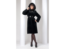 S-31 ���� ������ ���������