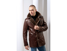 DM-25 ��������