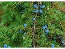 ������������ �����. ���� 37,8 ���.