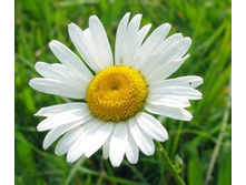 �������,������. ���� 23 ���.