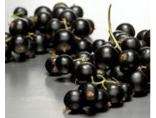 ���������. ���� 28 ���.