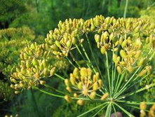 ����� ������. ���� 28 ���.