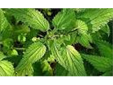 �������,����. ���� 22 ���.