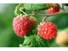 ������ ������������ ����. ���� 28 ���.