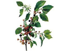 �������,����. ���� 28 ���.