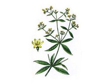 ������, ������.���� 44 ���.