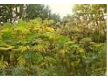 ������ ������������ ������. ���� 44 ���.